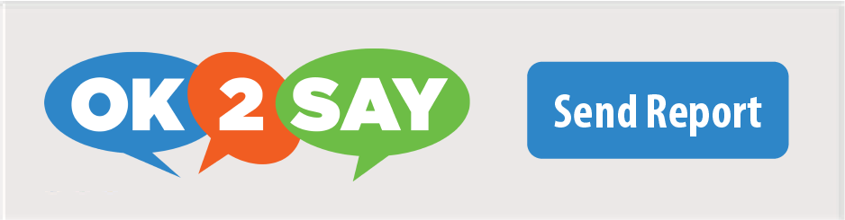 OK2SAY Button 